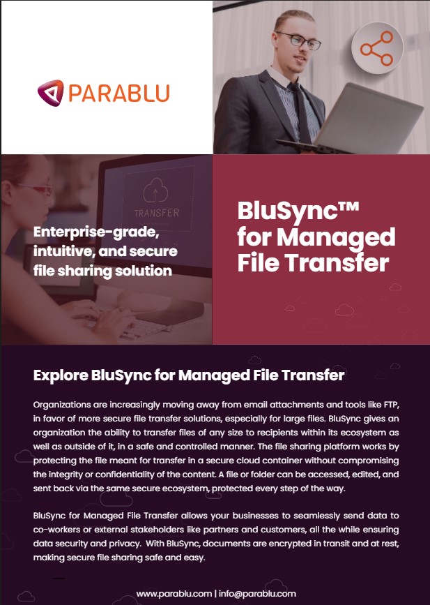 blusync-managed-file-transfer