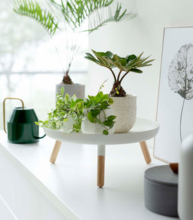 White Yamazaki Countertop Pedestal Tray with plants on top view 3