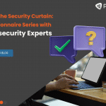 Behind the Security Curtain: A Questionnaire Series with Cyber Security Experts