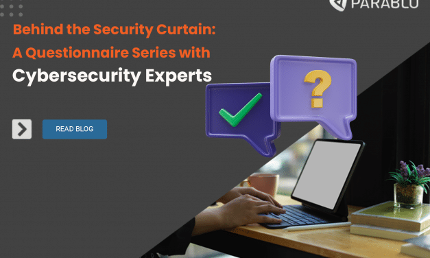 Behind the Security Curtain: A Questionnaire Series with Cyber Security Experts