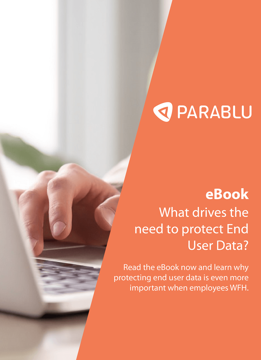 eBook Thumbnail - What drives the need to protect End User Data-01