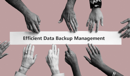 Delegated Administration for efficient data backup management
