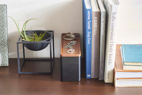 Closed black Stacking Watch and Accessory Case in between books and plants with jewelry on top view 12