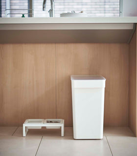 Side view of white Airtight Food Storage Container next to Pet Food Bowl in kitchen by Yamazaki Home. view 4