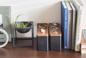 2 closed black Stacking Watch and Accessory Case in between books and plants with jewelry on top view 13