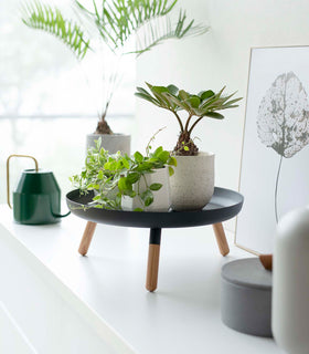 Black Yamazaki Countertop Pedestal Tray with plants on top view 11