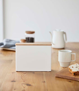 Front view of Coffee Filter Case on table by Yamazaki Home. view 4