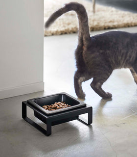 Black short Yamazaki Single Pet Food Bowl in front of a cat view 7