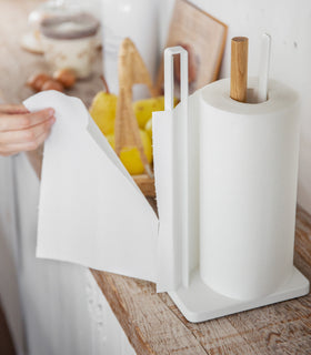 Side view of Paper Towel Holder on kitchen shelf by Yamazaki Home. view 7