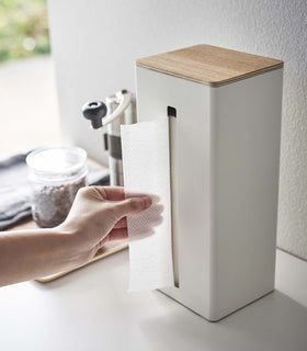 Close up of white Yamazaki Two-Sided Tissue Case with paper towels inside on a kitchen counter view 6