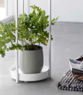 Two-Tier Rolling Plant Stand (28