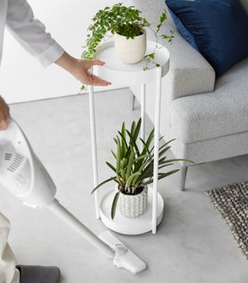 Two-Tier Rolling Plant Stand (28