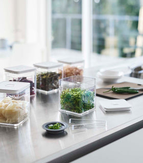 White Vacuum-Sealing Food Container w. Tongs on kitchen countertop and holding food items by Yamazaki Home. view 17