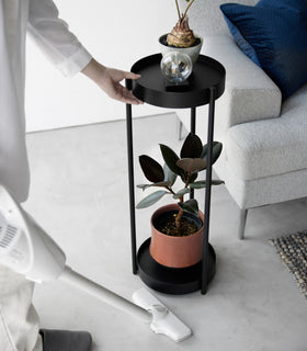 Two-Tier Rolling Plant Stand (28